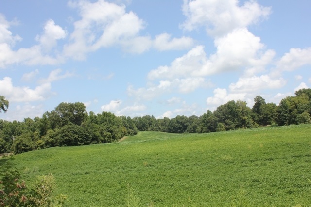6333 Asbury Glimp Road Ripley, TN 38063 - Photo 5 of 6