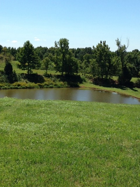 1871 Curve Woodville Road Ripley, TN 38063 - Photo 1 of 24