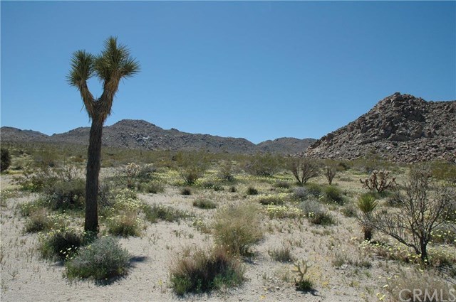 7272 Sunkist Road Joshua Tree, CA 92252 - Photo 1 of 1