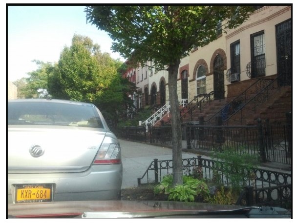 760 Halsey Street Brooklyn, NY 11233 - Photo 12 of 15