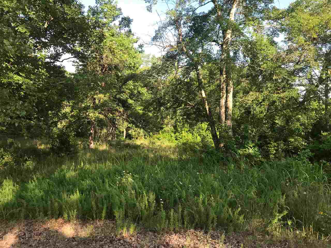 95-117 Meeks Road Adamsville, TN 38310 - Photo 6 of 12