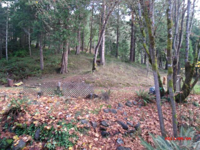 5410 Cole Road Oakland, OR 97462 - Photo 8 of 16 Gallery Image 8