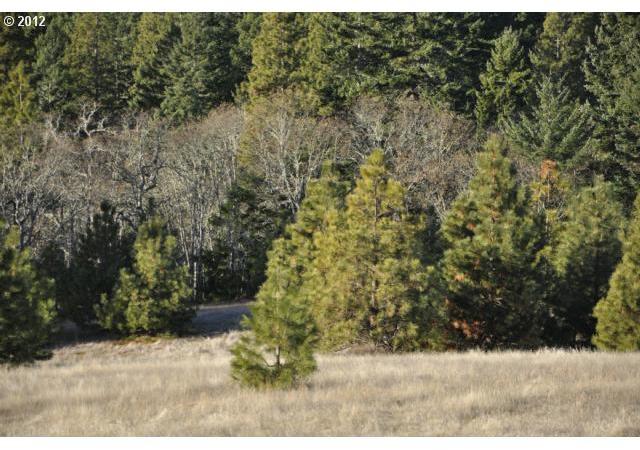 Mt View Road Lyle, WA 98635 - Photo 5 of 7 Gallery Image 5