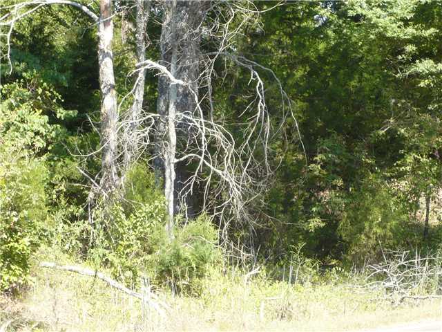 0 Holmes Road Collierville, TN 38017 - Photo 4 of 4 Gallery Image 4