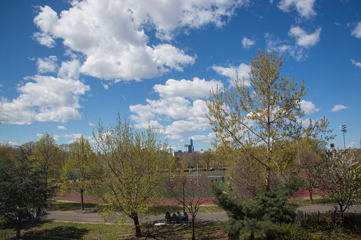 50 Bayard Street, Unit 2C Brooklyn, NY 11211 - Photo 6 of 8