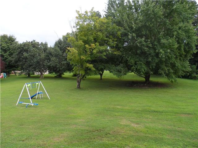 206 New Chapel Road Springfield, TN 37172 - Photo 18 of 21 This home sits on 1 gorgeous acre of land perfect for large families and pet lovers!