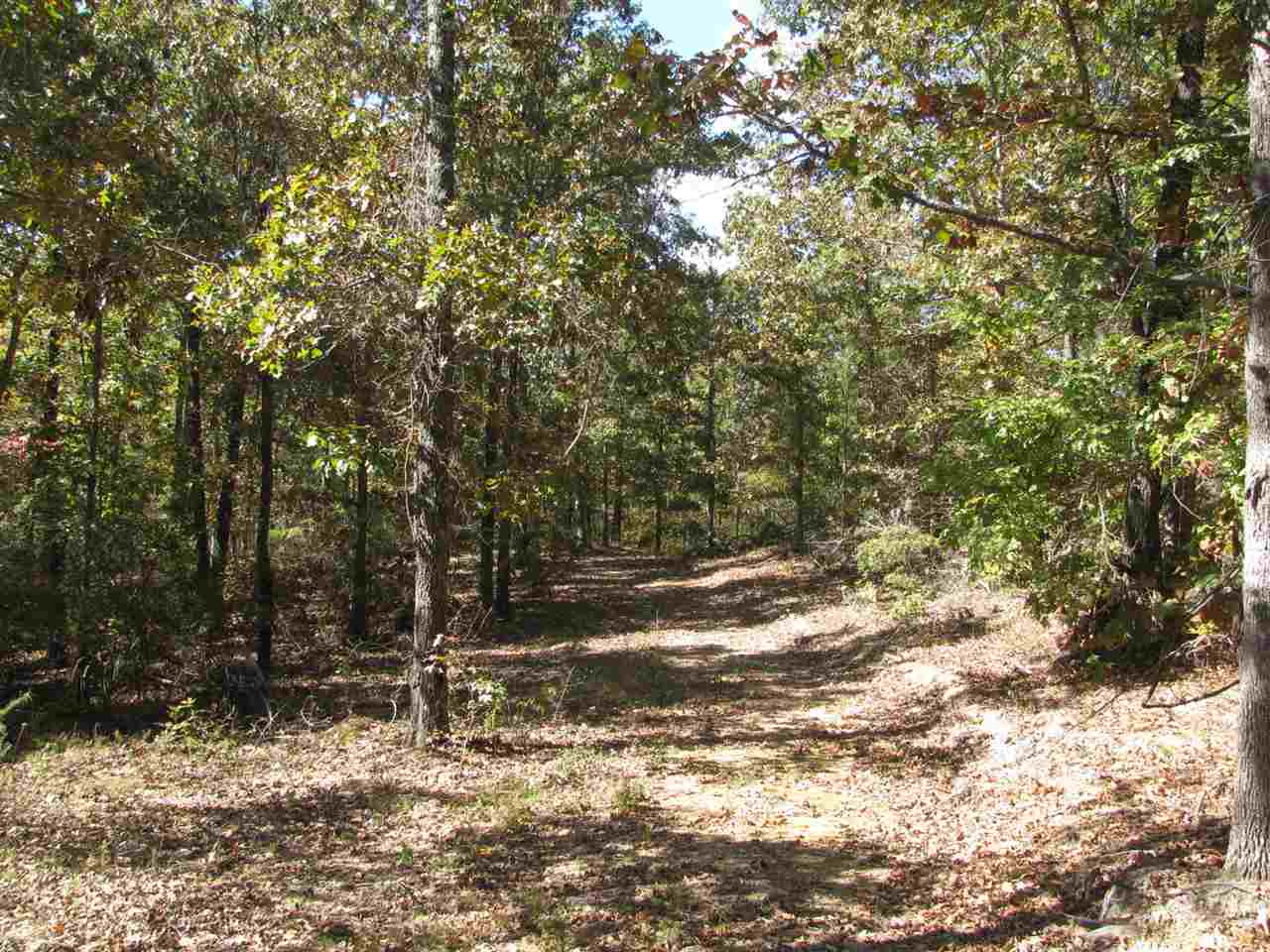 Bingham Road Saltillo, TN 38370 - Photo 10 of 15 Gallery Image 10