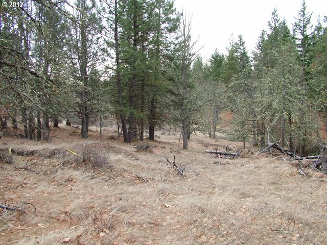 Austin Road Goldendale, WA 98620 - Photo 9 of 15 Gallery Image 9