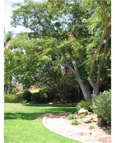 1408 Little Gopher Canyon Road Vista, CA 92084 - Photo 20 of 24 Gallery Image 20