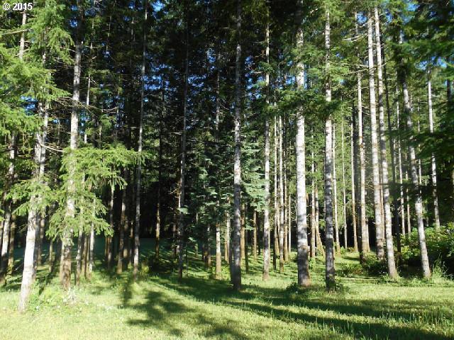 Skinner Road Woodland, WA 98674 - Photo 10 of 16 Gallery Image 10