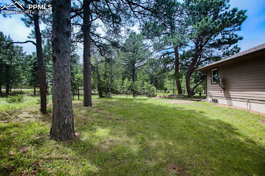 7890 Tannenbaum Road Colorado Springs, CO 80908 - Photo 4 of 36