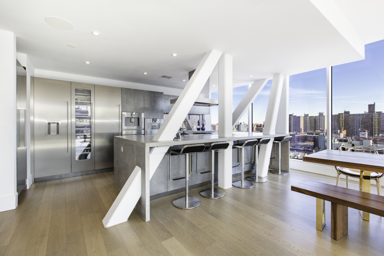 100 Norfolk Street, Unit PHB Manhattan, NY 10002 - Photo 11 of 34 Gallery Image 11