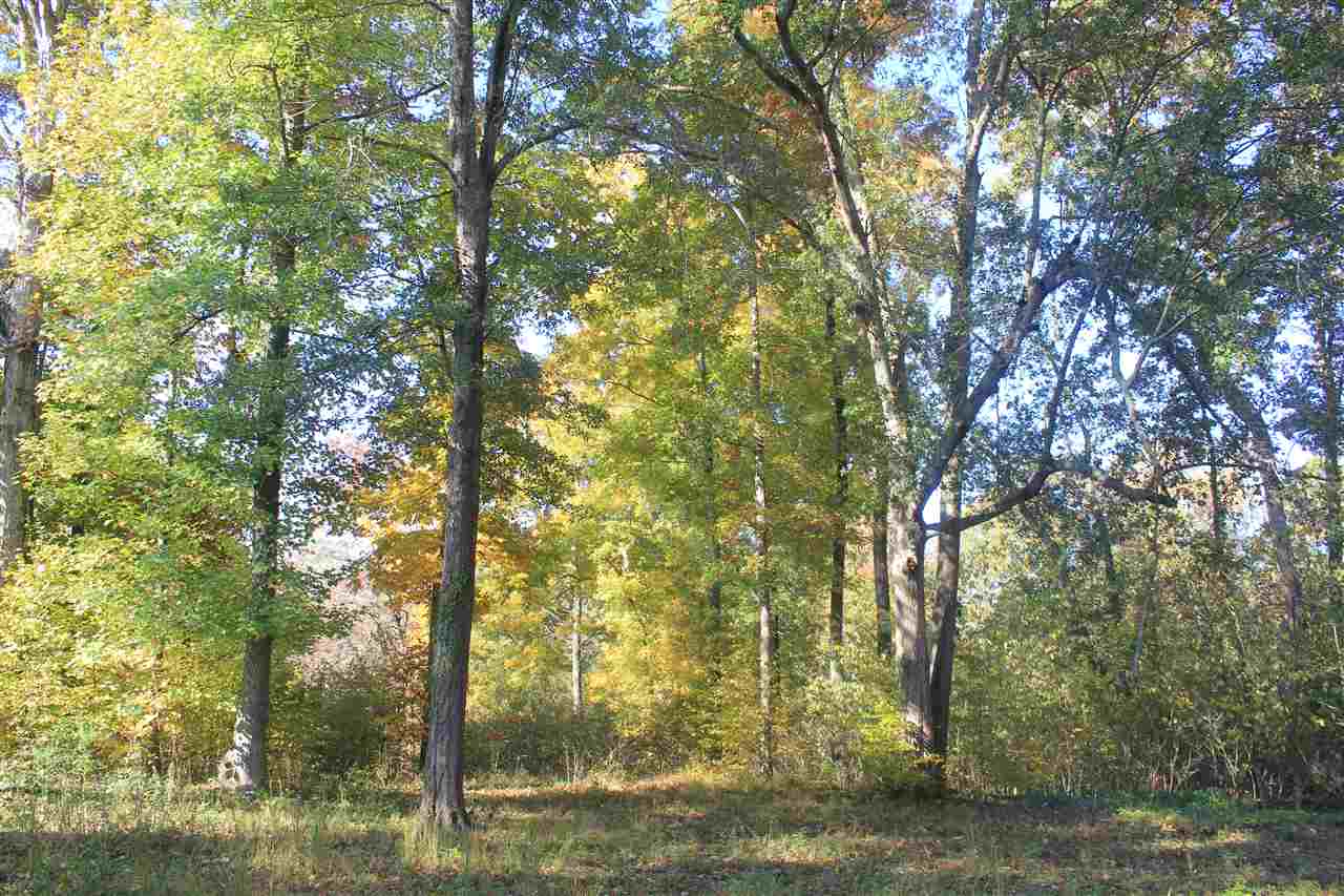 325 John Mac Road Holly Springs, MS 38635 - Photo 17 of 25 Gallery Image 17