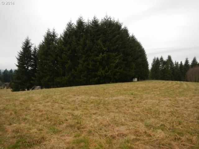0 Carpenter Road Castle Rock, WA 98611 - Photo 8 of 9