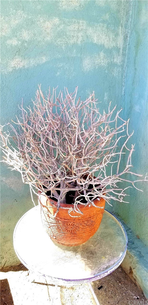 5550 Soza Road Whitewater, CA 92282 - Photo 8 of 11