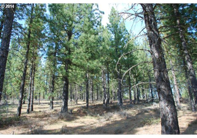 Box Canyon Road, Unit 2 Goldendale, WA 98620 - Photo 6 of 16 Gallery Image 6