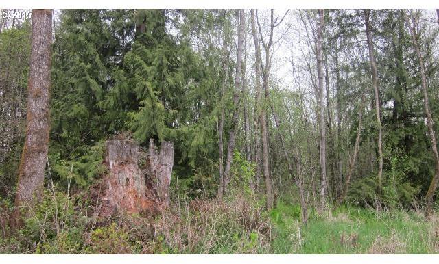 Leonard Road Onalaska, WA 98570 - Photo 14 of 16 Gallery Image 14