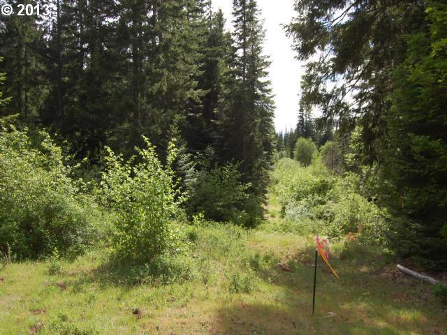 34 Moonshine Road Appleton, WA 98602 - Photo 1 of 13 Gallery Image 1