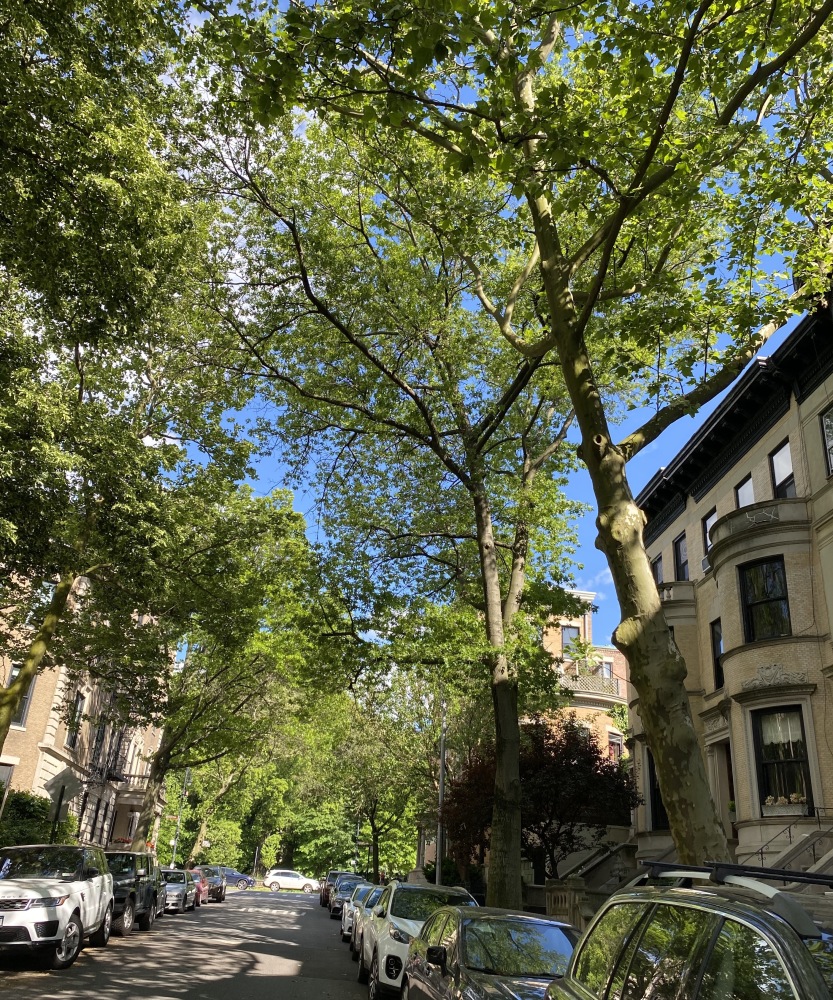 573 6th Street, Unit 16 Brooklyn, NY 11215 - Photo 8 of 9