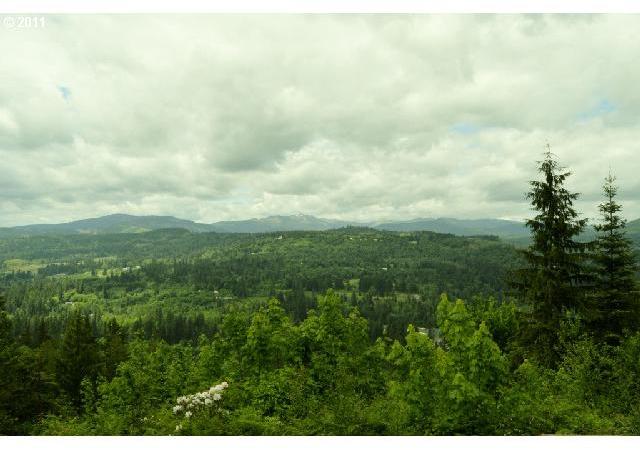 832 Wildlife Road Washougal, WA 98671 - Photo 15 of 16