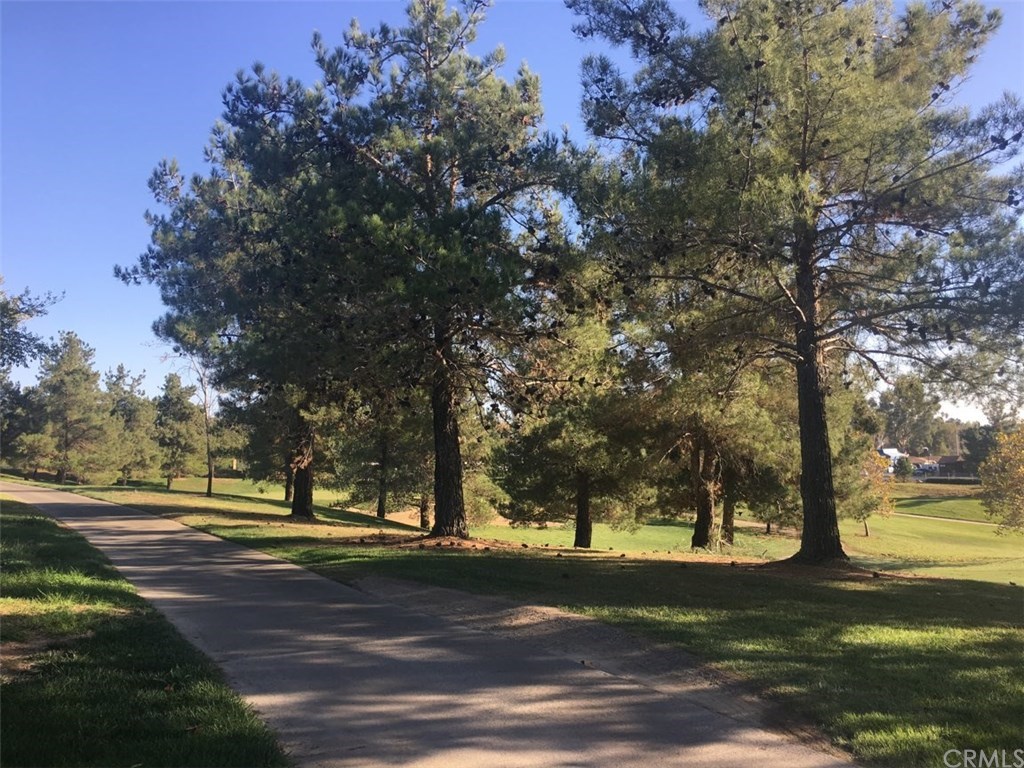 33021 Eagle Point Drive Yucaipa, CA 92399 - Photo 14 of 16