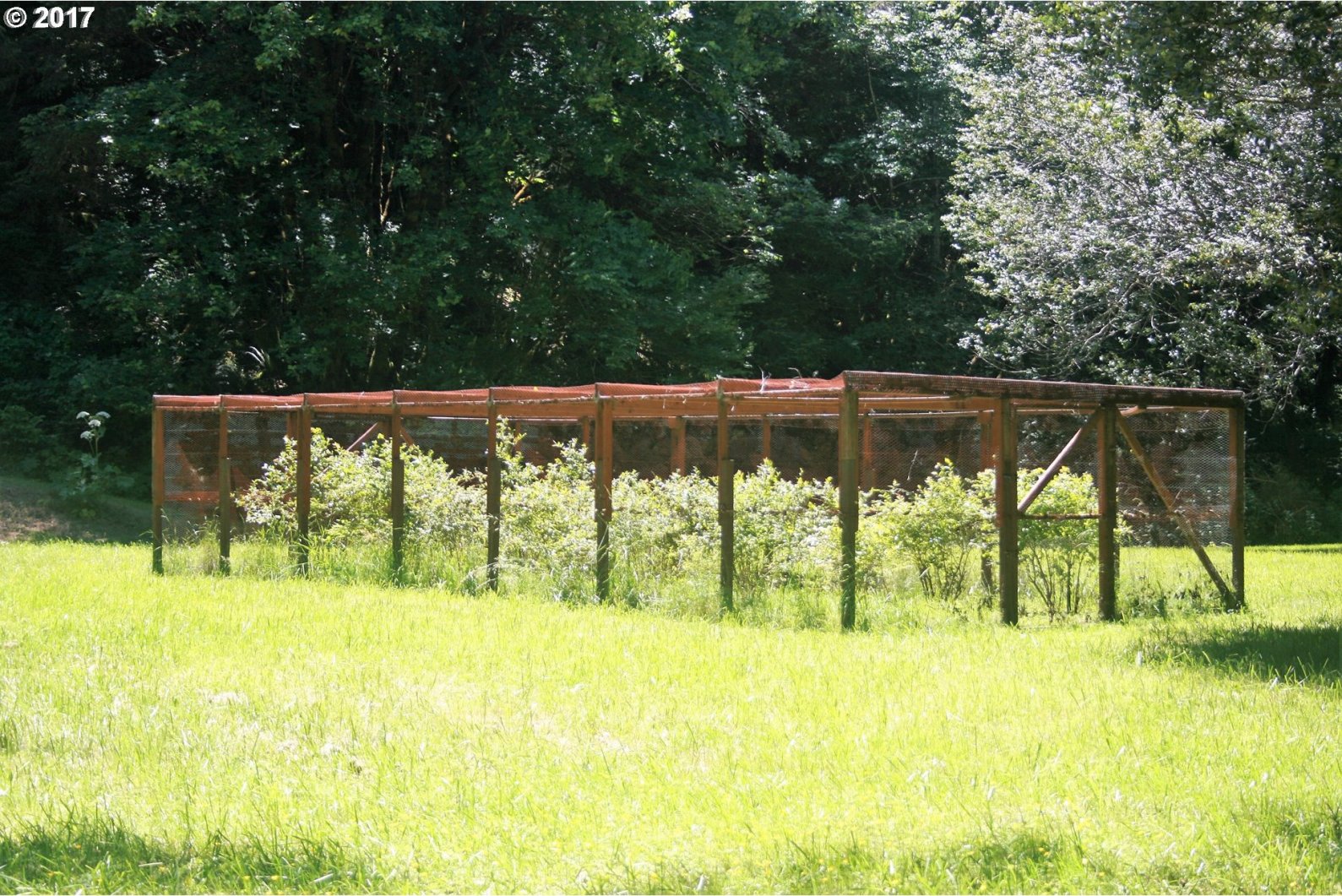 27766 Hunter Creek Road Gold Beach, OR 97444 - Photo 12 of 32 Gallery Image 12