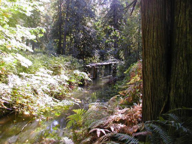 0 Northwest Old Pumpkin Ridge Road North Plains, OR 97133 - Photo 2 of 5 Gallery Image 2