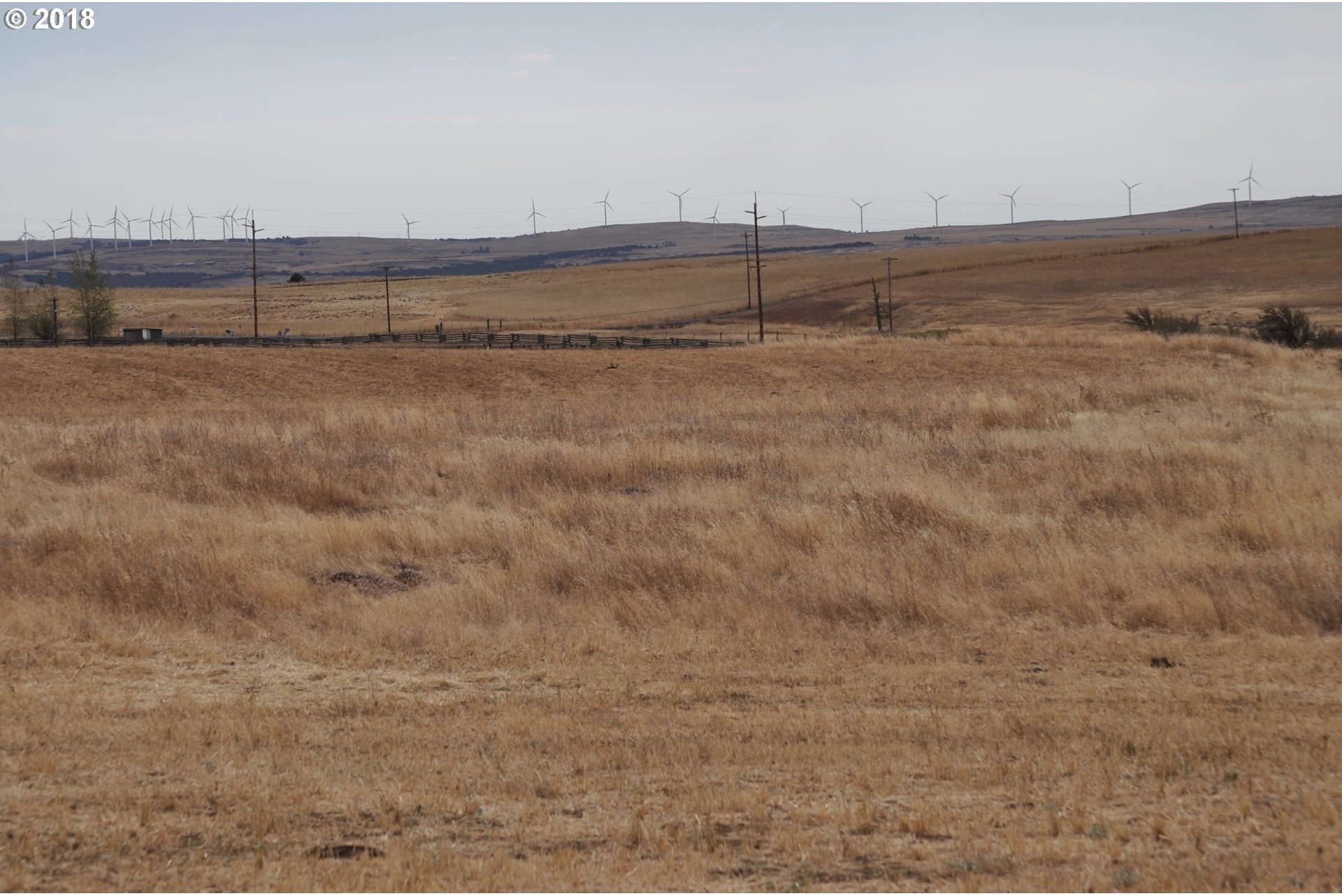 481 Bickleton Highway Goldendale, WA 98620 - Photo 8 of 9 Gallery Image 8