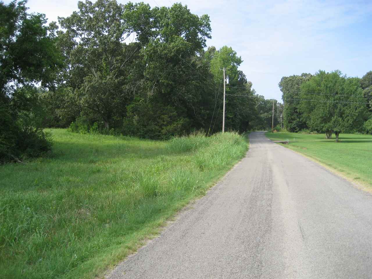 14 Caney Branch Road Adamsville, TN 38310 - Photo 8 of 12 Gallery Image 8