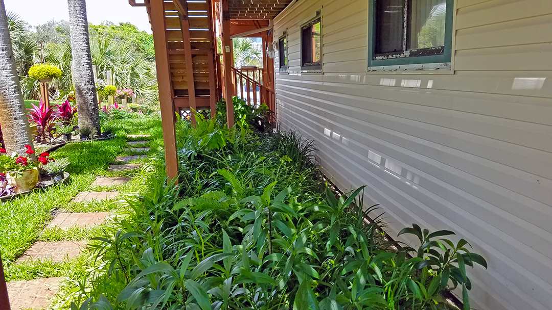 5595 Atlantic View St. Augustine, FL 32080 - Photo 13 of 34