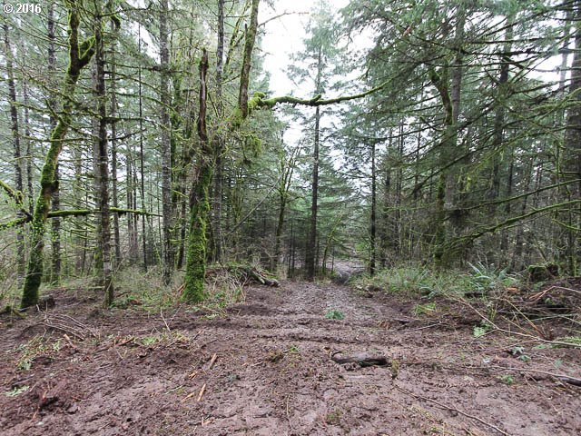Southwest Summit Avenue Gaston, OR 97119 - Photo 10 of 12