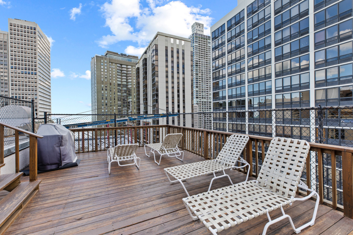 33 E Cedar St, Chicago, IL 60611 - Photo 8 of 13