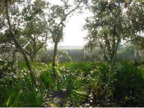 358 South Ocean Trace Road St. Augustine, FL 32080 - Photo 5 of 5 Gallery Image 5