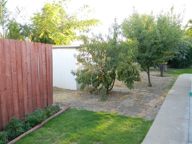 2005 Real Road Bakersfield, CA 93309 - Photo 18 of 19 Here is more. It has fruit trees right now. But you could take them out and possibly put in more grass or maybe a pool would fit.