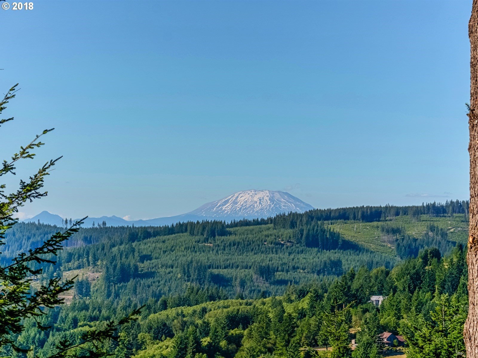 7900 Northeast 298th Court Camas, WA 98607 - Photo 9 of 32