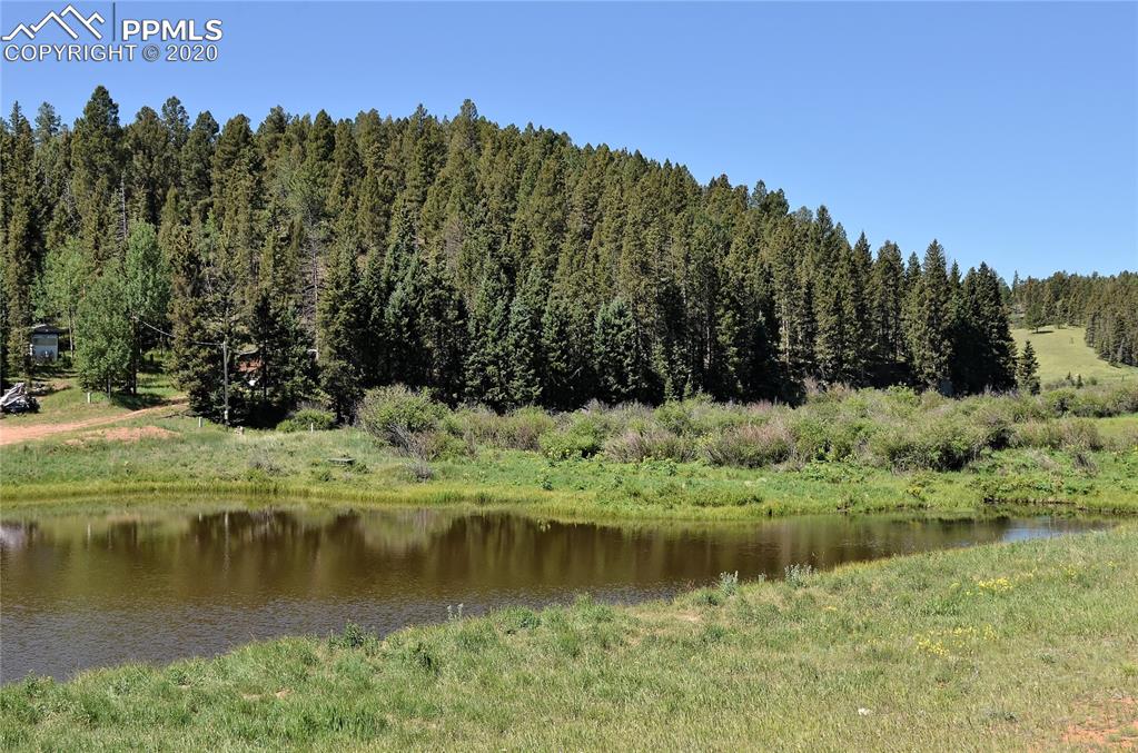 87 Apache Trail Divide, CO 80814 - Photo 3 of 20 Looking southwest from Shadow Lake Drive over the pond that borders the east end of 87 Apache Trail.