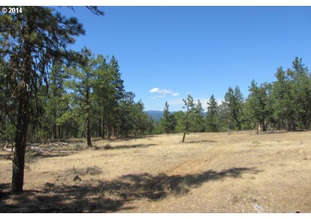 Woodland Road, Unit 1 Goldendale, WA 98620 - Photo 5 of 6 Gallery Image 5