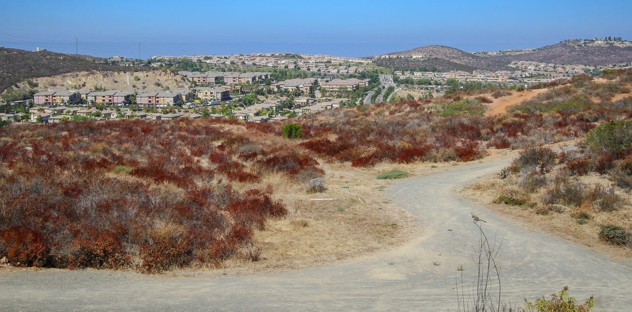 1533 Brookside Court San Marcos, CA 92078 - Photo 21 of 22