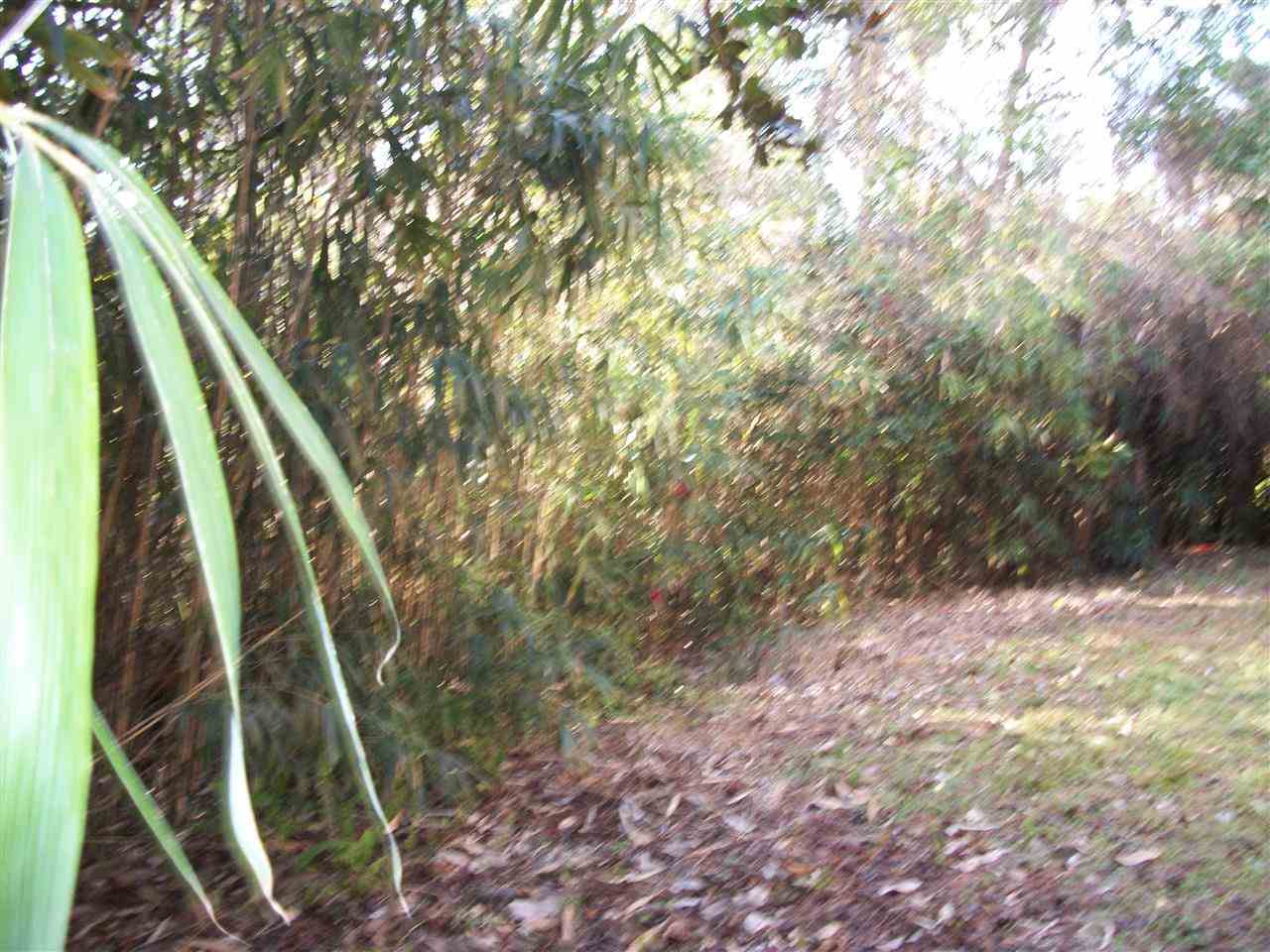 210 Argonaut Road St. Augustine, FL 32086 - Photo 24 of 24 Gallery Image 24