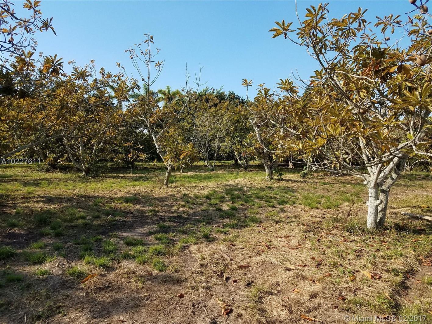 17455 Southwest 192nd Street Miami, FL 33187 - Photo 18 of 33