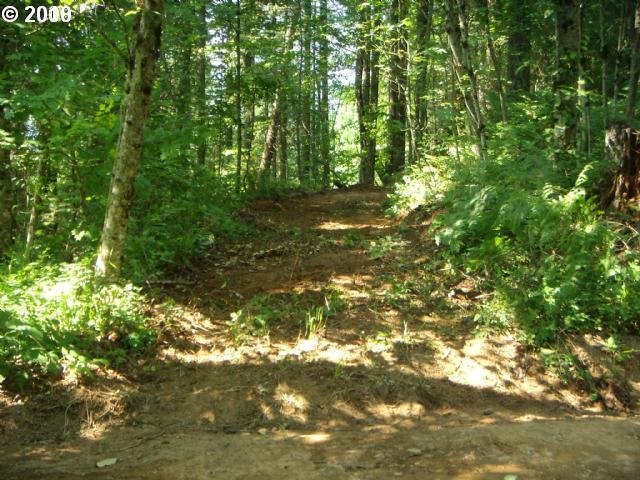 Aalvik Road Stevenson, WA 98648 - Photo 11 of 12