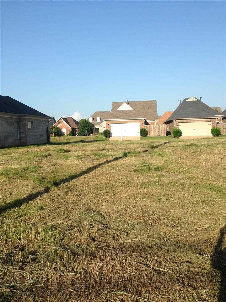 1575 Wynne Grove Road Cordova, TN 38016 - Photo 3 of 5