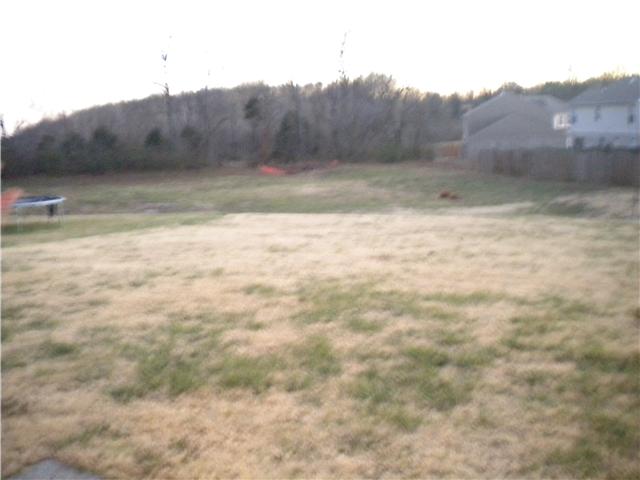 1015 Daniel Lane Spring Hill, TN 37174 - Photo 15 of 18 large back yard