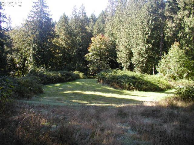 0 Northwest Old Pumpkin Ridge Road North Plains, OR 97133 - Photo 1 of 5 Gallery Image 1