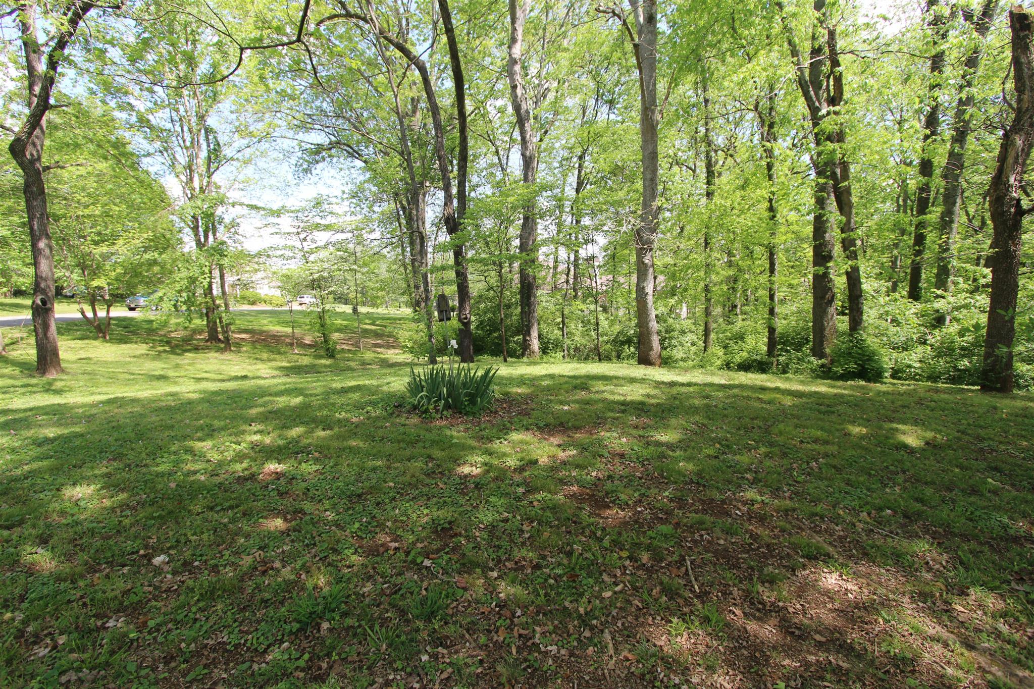 300 Kippsford Pond Road Columbia, TN 38401 - Photo 3 of 36 Mature trees are found on the property and in backyard.