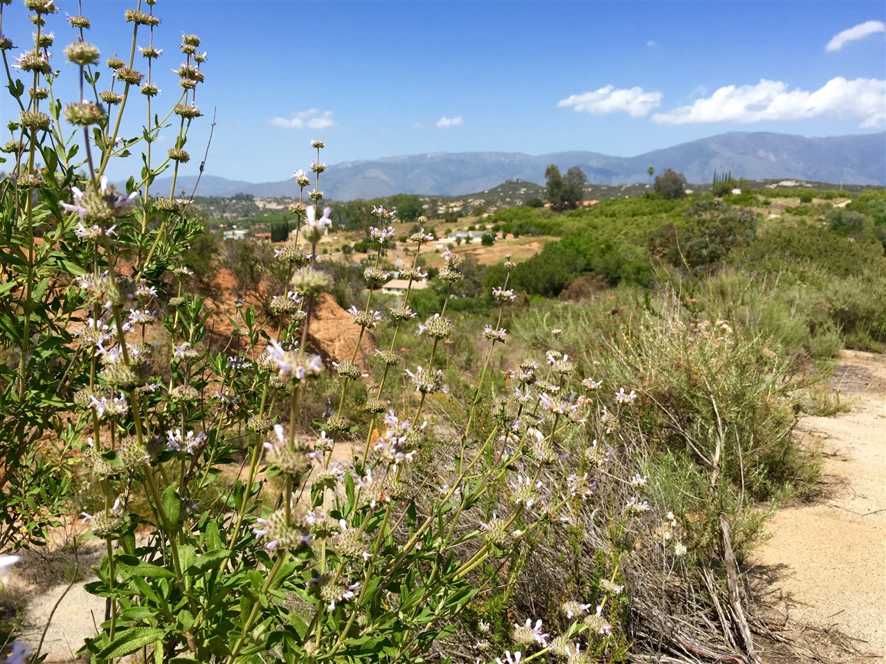0 Villa Sierra Road Valley Center, CA 92082 - Photo 5 of 15 Gallery Image 5