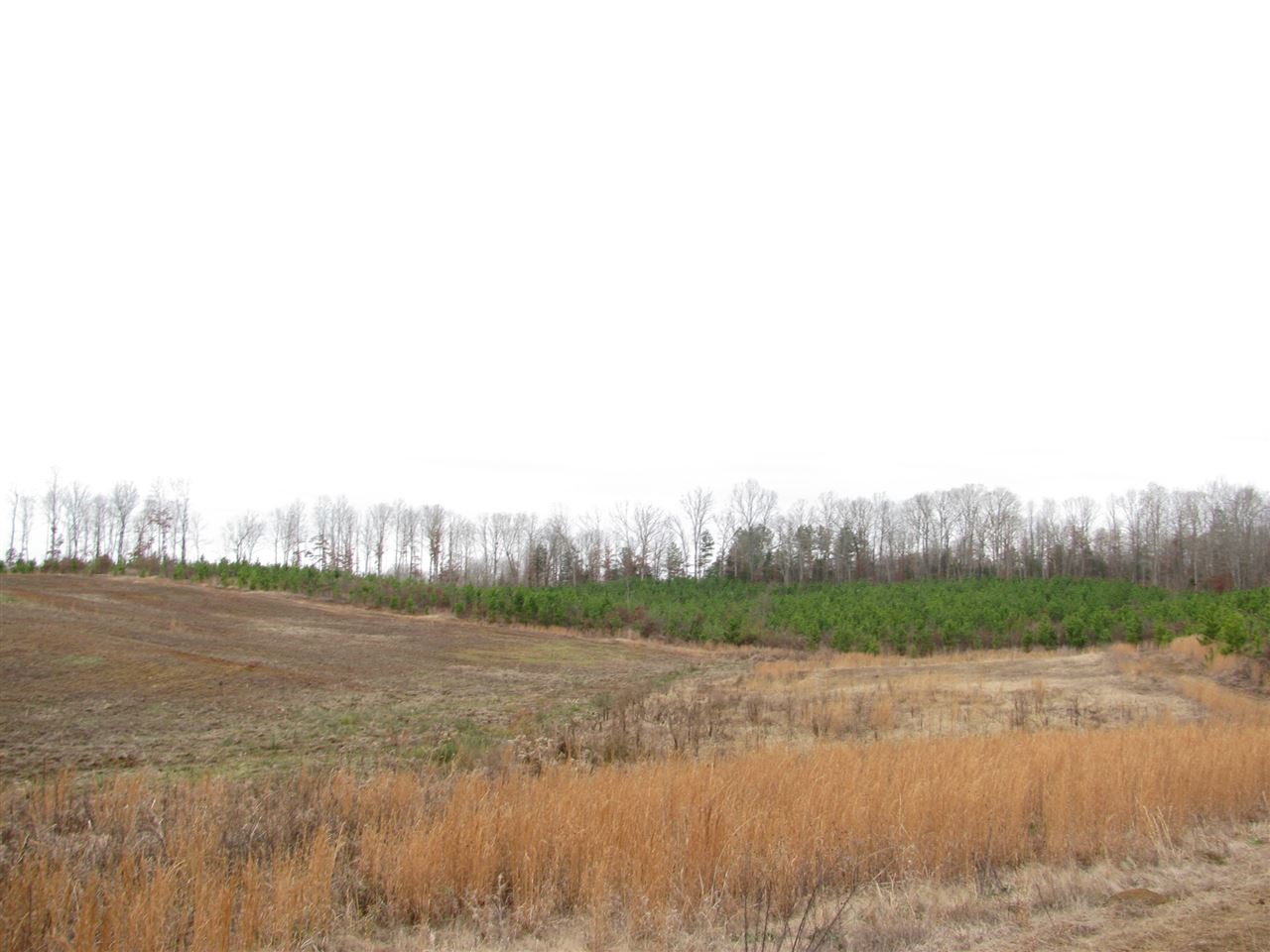 134 5 Forks Road Saltillo, TN 38370 - Photo 14 of 24 Gallery Image 14