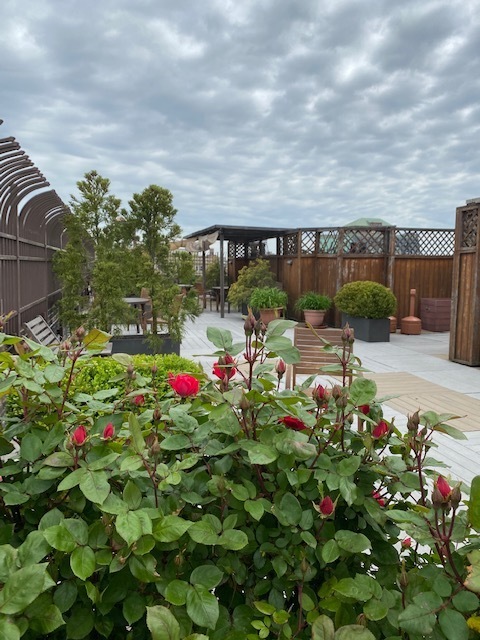 The Broadmoor 235 W 102nd St, Manhattan, NY 10025 - Photo 16 of 16