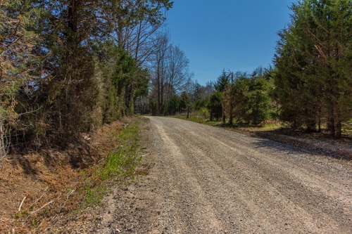 0 Hughey Talley Road Selmer, TN 38375 - Photo 2 of 16 Gallery Image 2