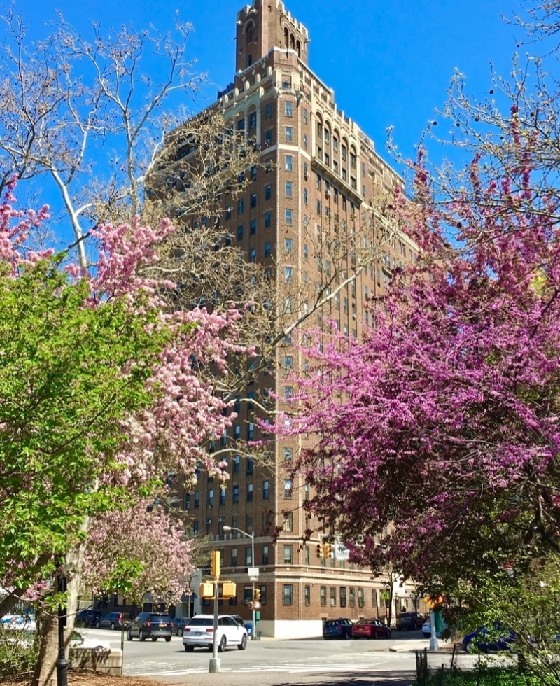 230 Riverside Drive, Unit 7E Manhattan, NY 10025 - Photo 7 of 8